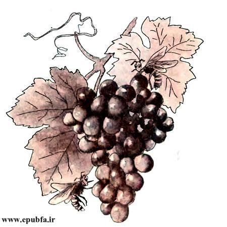 قصه کودکانه و آموزنده زنبور و انگور-«کاسبهای بازارچه»-چترنور-ارشیو قصه و داستان ایپابفا